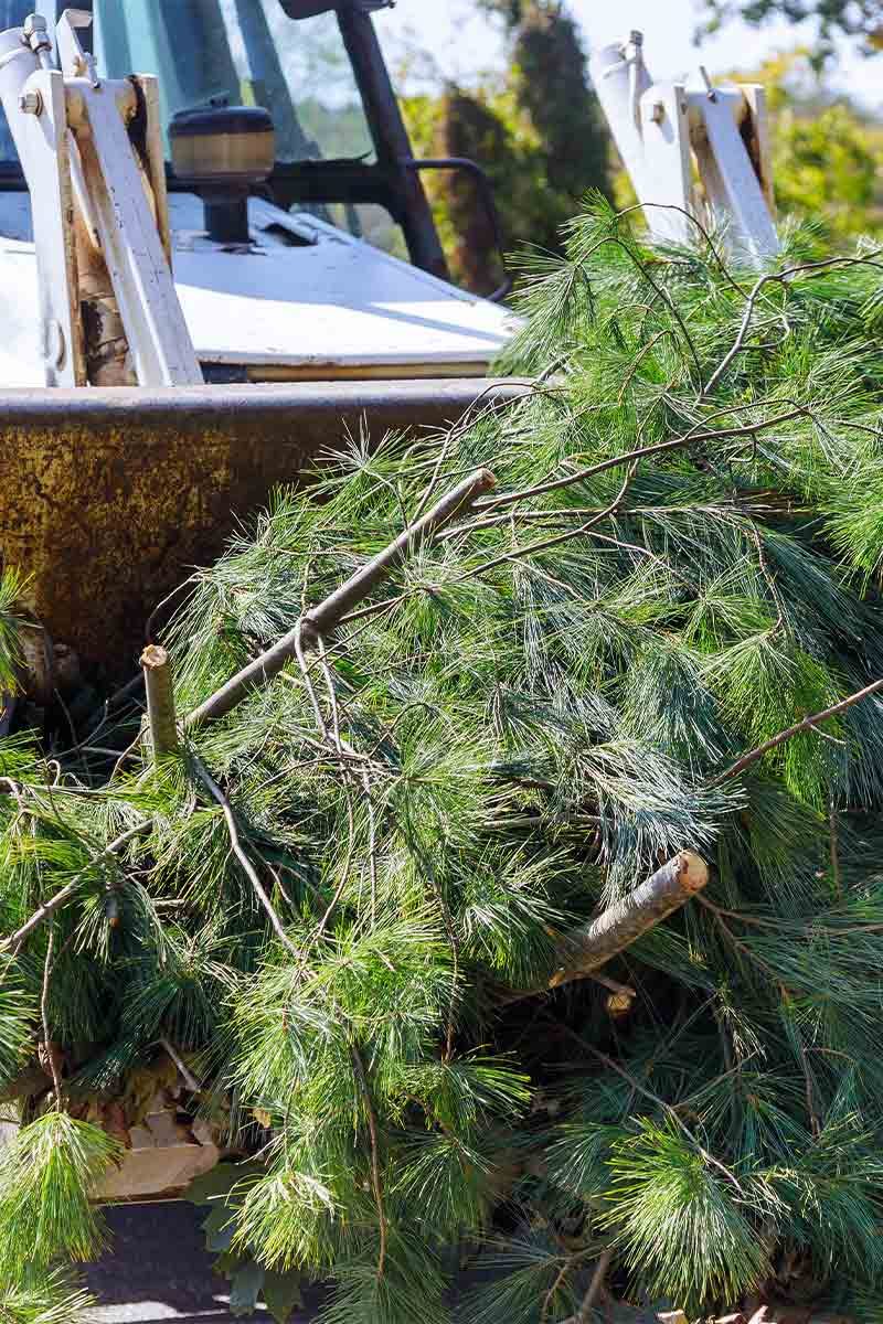 évacuation des déchets de vos bennes à aubagne et ses alentours